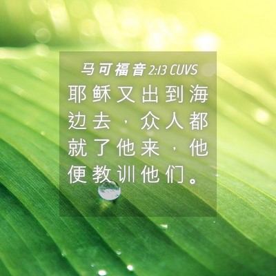 Picture 04 - 马 可 福 音 2:13 CUVS - 耶 稣 又 出 到 海 边 去 ， 众 人 都 - Bible Verse Picture