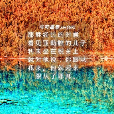Picture 04 - 马 可 福 音 2:14 CUVS - 耶 稣 经 过 的 时 候 ， 看 见 亚 勒 - Bible Verse Picture