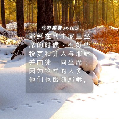Picture 04 - 马 可 福 音 2:15 CUVS - 耶 稣 在 利 未 家 里 坐 席 的 时 候 - Bible Verse Picture