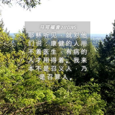 Picture 04 - 马 可 福 音 2:17 CUVS - 耶 稣 听 见 ， 就 对 他 们 说 ： 康 - Bible Verse Picture