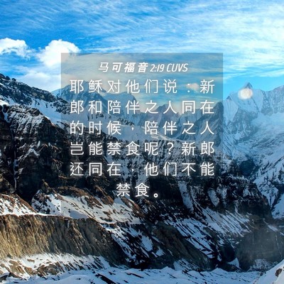 Picture 04 - 马 可 福 音 2:19 CUVS - 耶 稣 对 他 们 说 ： 新 郎 和 陪 伴 - Bible Verse Picture