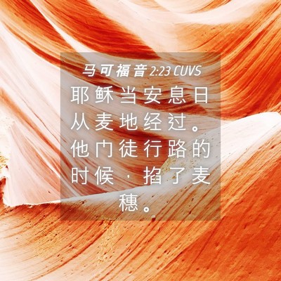 Picture 04 - 马 可 福 音 2:23 CUVS - 耶 稣 当 安 息 日 从 麦 地 经 过 。 - Bible Verse Picture