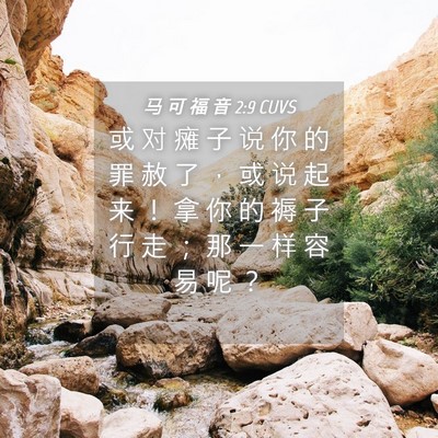 Picture 04 - 马 可 福 音 2:9 CUVS - 或 对 瘫 子 说 你 的 罪 赦 了 ， 或 - Bible Verse Picture
