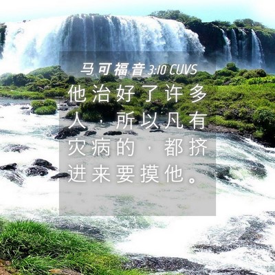 Picture 04 - 马 可 福 音 3:10 CUVS - 他 治 好 了 许 多 人 ， 所 以 凡 有 - Bible Verse Picture