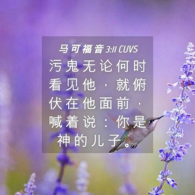 Picture 04 - 马 可 福 音 3:11 CUVS - 污 鬼 无 论 何 时 看 见 他 ， 就 俯 - Bible Verse Picture