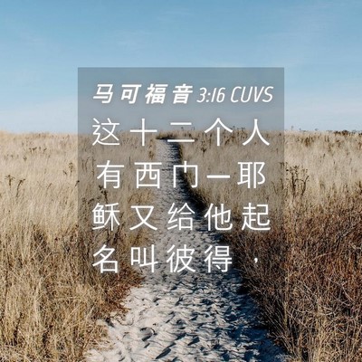 Picture 04 - 马 可 福 音 3:16 CUVS - 这 十 二 个 人 有 西 门 ─ 耶 稣 又 - Bible Verse Picture