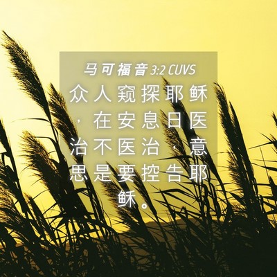 Picture 04 - 马 可 福 音 3:2 CUVS - 众 人 窥 探 耶 稣 ， 在 安 息 日 医 - Bible Verse Picture