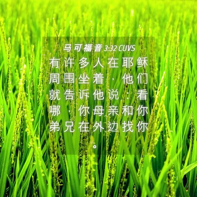 Picture 04 - 马 可 福 音 3:32 CUVS - 有 许 多 人 在 耶 稣 周 围 坐 着 ， - Bible Verse Picture