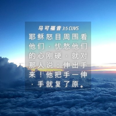 Picture 04 - 马 可 福 音 3:5 CUVS - 耶 稣 怒 目 周 围 看 他 们 ， 忧 愁 - Bible Verse Picture