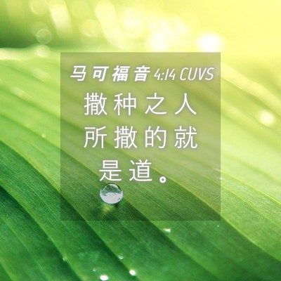 Picture 04 - 马 可 福 音 4:14 CUVS - 撒 种 之 人 所 撒 的 就 是 道 - Bible Verse Picture