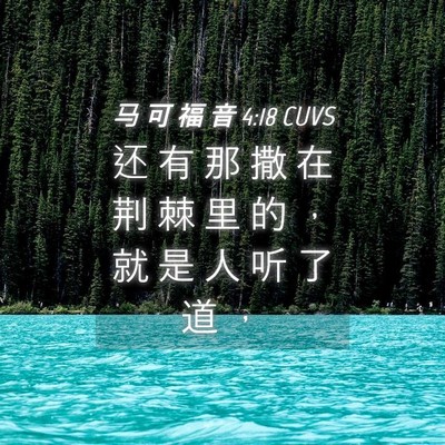 Picture 04 - 马 可 福 音 4:18 CUVS - 还 有 那 撒 在 荆 棘 里 的 ， 就 是 - Bible Verse Picture