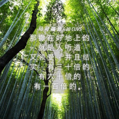 Picture 04 - 马 可 福 音 4:20 CUVS - 那 撒 在 好 地 上 的 ， 就 是 人 听 - Bible Verse Picture