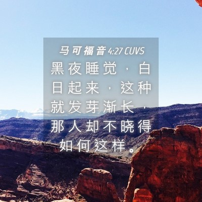 Picture 04 - 马 可 福 音 4:27 CUVS - 黑 夜 睡 觉 ， 白 日 起 来 ， 这 种 - Bible Verse Picture