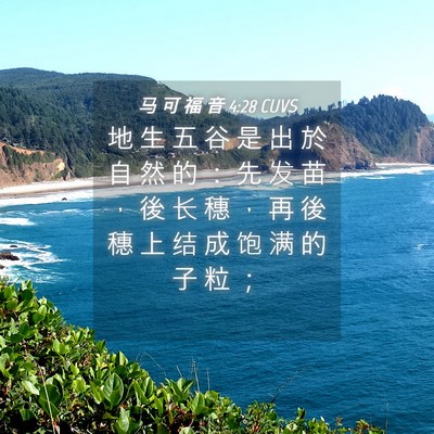 Picture 04 - 马 可 福 音 4:28 CUVS - 地 生 五 谷 是 出 於 自 然 的 ： 先 - Bible Verse Picture