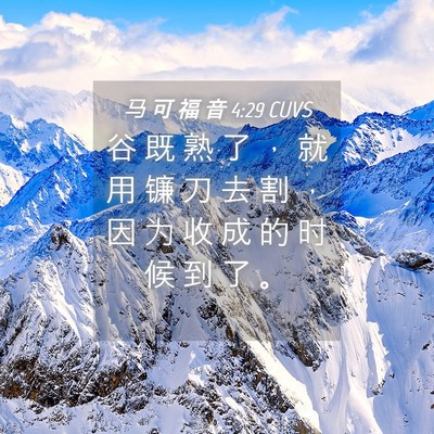 Picture 04 - 马 可 福 音 4:29 CUVS - 谷 既 熟 了 ， 就 用 镰 刀 去 割 ， - Bible Verse Picture