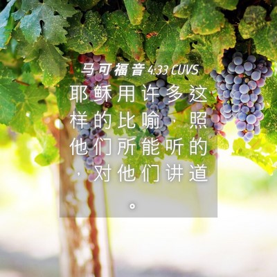 Picture 04 - 马 可 福 音 4:33 CUVS - 耶 稣 用 许 多 这 样 的 比 喻 ， 照 - Bible Verse Picture