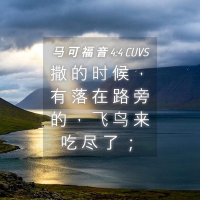 Picture 04 - 马 可 福 音 4:4 CUVS - 撒 的 时 候 ， 有 落 在 路 旁 的 ， - Bible Verse Picture