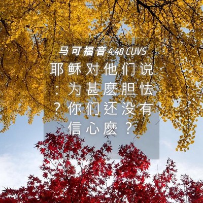 Picture 04 - 马 可 福 音 4:40 CUVS - 耶 稣 对 他 们 说 ： 为 甚 麽 胆 怯 - Bible Verse Picture