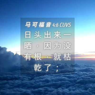 Picture 04 - 马 可 福 音 4:6 CUVS - 日 头 出 来 一 晒 ， 因 为 没 有 根 - Bible Verse Picture