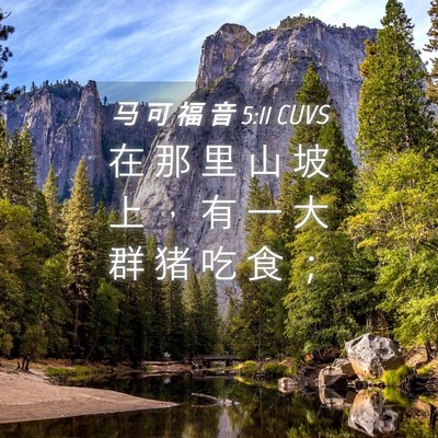 Picture 04 - 马 可 福 音 5:11 CUVS - 在 那 里 山 坡 上 ， 有 一 大 群 猪 - Bible Verse Picture