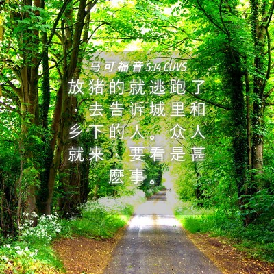 Picture 04 - 马 可 福 音 5:14 CUVS - 放 猪 的 就 逃 跑 了 ， 去 告 诉 城 - Bible Verse Picture
