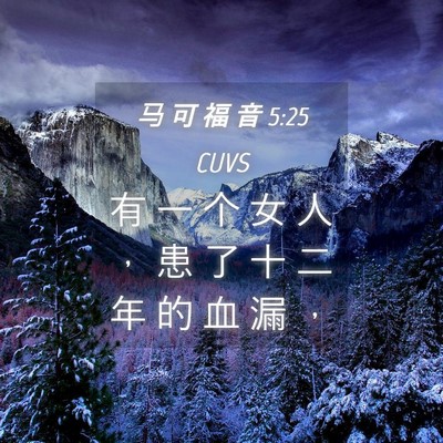 Picture 04 - 马 可 福 音 5:25 CUVS - 有 一 个 女 人 ， 患 了 十 二 年 的 - Bible Verse Picture
