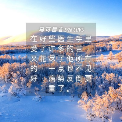 Picture 04 - 马 可 福 音 5:26 CUVS - 在 好 些 医 生 手 里 受 了 许 多 的 - Bible Verse Picture