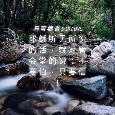 Picture 04 - 马 可 福 音 5:36 CUVS - 耶 稣 听 见 所 说 的 话 ， 就 对 管 - Bible Verse Picture