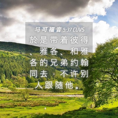 Picture 04 - 马 可 福 音 5:37 CUVS - 於 是 带 着 彼 得 、 雅 各 、 和 雅 - Bible Verse Picture