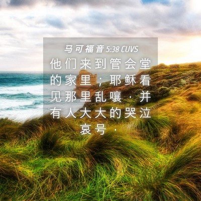 Picture 04 - 马 可 福 音 5:38 CUVS - 他 们 来 到 管 会 堂 的 家 里 ； 耶 - Bible Verse Picture