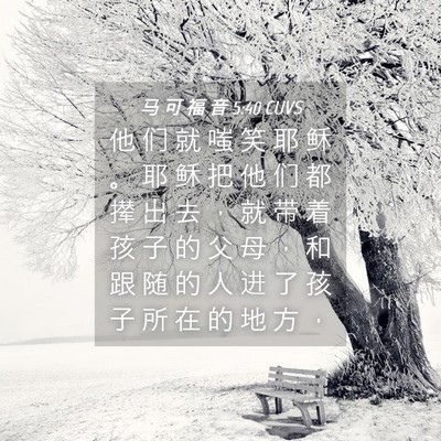 Picture 04 - 马 可 福 音 5:40 CUVS - 他 们 就 嗤 笑 耶 稣 。 耶 稣 把 他 - Bible Verse Picture