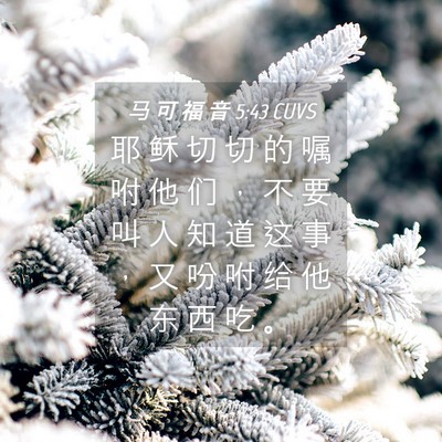 Picture 04 - 马 可 福 音 5:43 CUVS - 耶 稣 切 切 的 嘱 咐 他 们 ， 不 要 - Bible Verse Picture