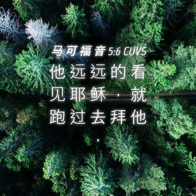 Picture 04 - 马 可 福 音 5:6 CUVS - 他 远 远 的 看 见 耶 稣 ， 就 跑 过 - Bible Verse Picture