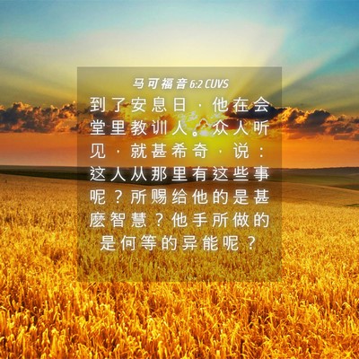 Picture 04 - 马 可 福 音 6:2 CUVS - 到 了 安 息 日 ， 他 在 会 堂 里 教 - Bible Verse Picture