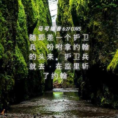 Picture 04 - 马 可 福 音 6:27 CUVS - 随 即 差 一 个 护 卫 兵 ， 吩 咐 拿 - Bible Verse Picture