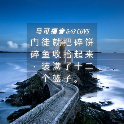 Picture 04 - 马 可 福 音 6:43 CUVS - 门 徒 就 把 碎 饼 碎 鱼 收 拾 起 来 - Bible Verse Picture