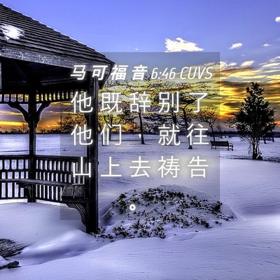 Picture 04 - 马 可 福 音 6:46 CUVS - 他 既 辞 别 了 他 们 ， 就 往 山 上 - Bible Verse Picture