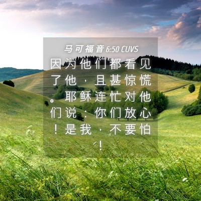Picture 04 - 马 可 福 音 6:50 CUVS - 因 为 他 们 都 看 见 了 他 ， 且 甚 - Bible Verse Picture