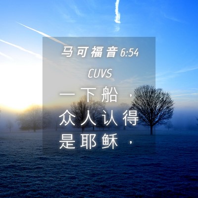 Picture 04 - 马 可 福 音 6:54 CUVS - 一 下 船 ， 众 人 认 得 是 耶 稣 - Bible Verse Picture