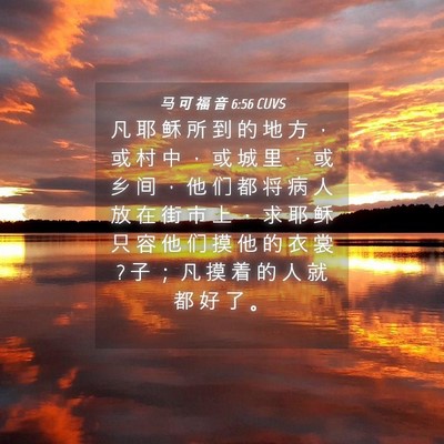 Picture 04 - 马 可 福 音 6:56 CUVS - 凡 耶 稣 所 到 的 地 方 ， 或 村 中 - Bible Verse Picture