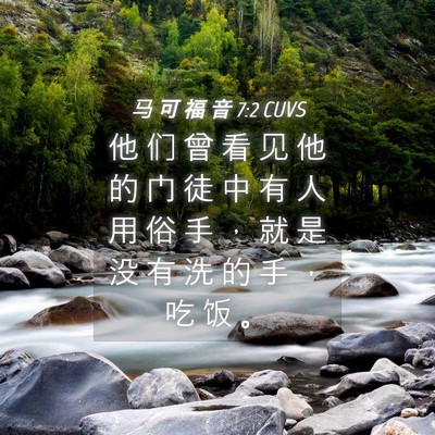 Picture 04 - 马 可 福 音 7:2 CUVS - 他 们 曾 看 见 他 的 门 徒 中 有 人 - Bible Verse Picture