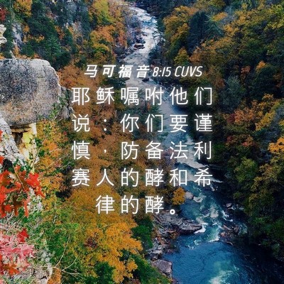 Picture 04 - 马 可 福 音 8:15 CUVS - 耶 稣 嘱 咐 他 们 说 ： 你 们 要 谨 - Bible Verse Picture