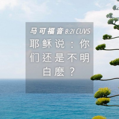 Picture 04 - 马 可 福 音 8:21 CUVS - 耶 稣 说 ： 你 们 还 是 不 明 白 麽 - Bible Verse Picture