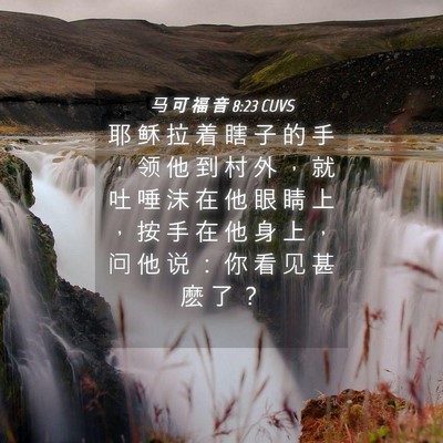 Picture 04 - 马 可 福 音 8:23 CUVS - 耶 稣 拉 着 瞎 子 的 手 ， 领 他 到 - Bible Verse Picture