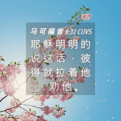Picture 04 - 马 可 福 音 8:32 CUVS - 耶 稣 明 明 的 说 这 话 ， 彼 得 就 - Bible Verse Picture