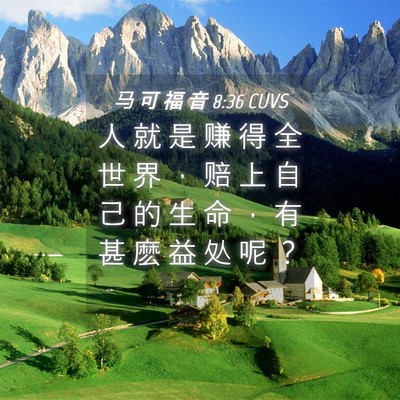 Picture 04 - 马 可 福 音 8:36 CUVS - 人 就 是 赚 得 全 世 界 ， 赔 上 自 - Bible Verse Picture