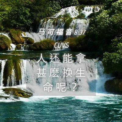 Picture 04 - 马 可 福 音 8:37 CUVS - 人 还 能 拿 甚 麽 换 生 命 呢 - Bible Verse Picture