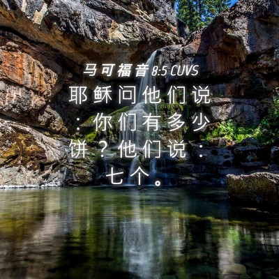 Picture 04 - 马 可 福 音 8:5 CUVS - 耶 稣 问 他 们 说 ： 你 们 有 多 少 - Bible Verse Picture