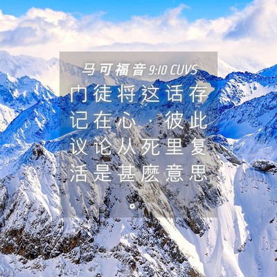 Picture 04 - 马 可 福 音 9:10 CUVS - 门 徒 将 这 话 存 记 在 心 ， 彼 此 - Bible Verse Picture