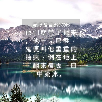 Picture 04 - 马 可 福 音 9:20 CUVS - 他 们 就 带 了 他 来 。 他 一 见 耶 - Bible Verse Picture